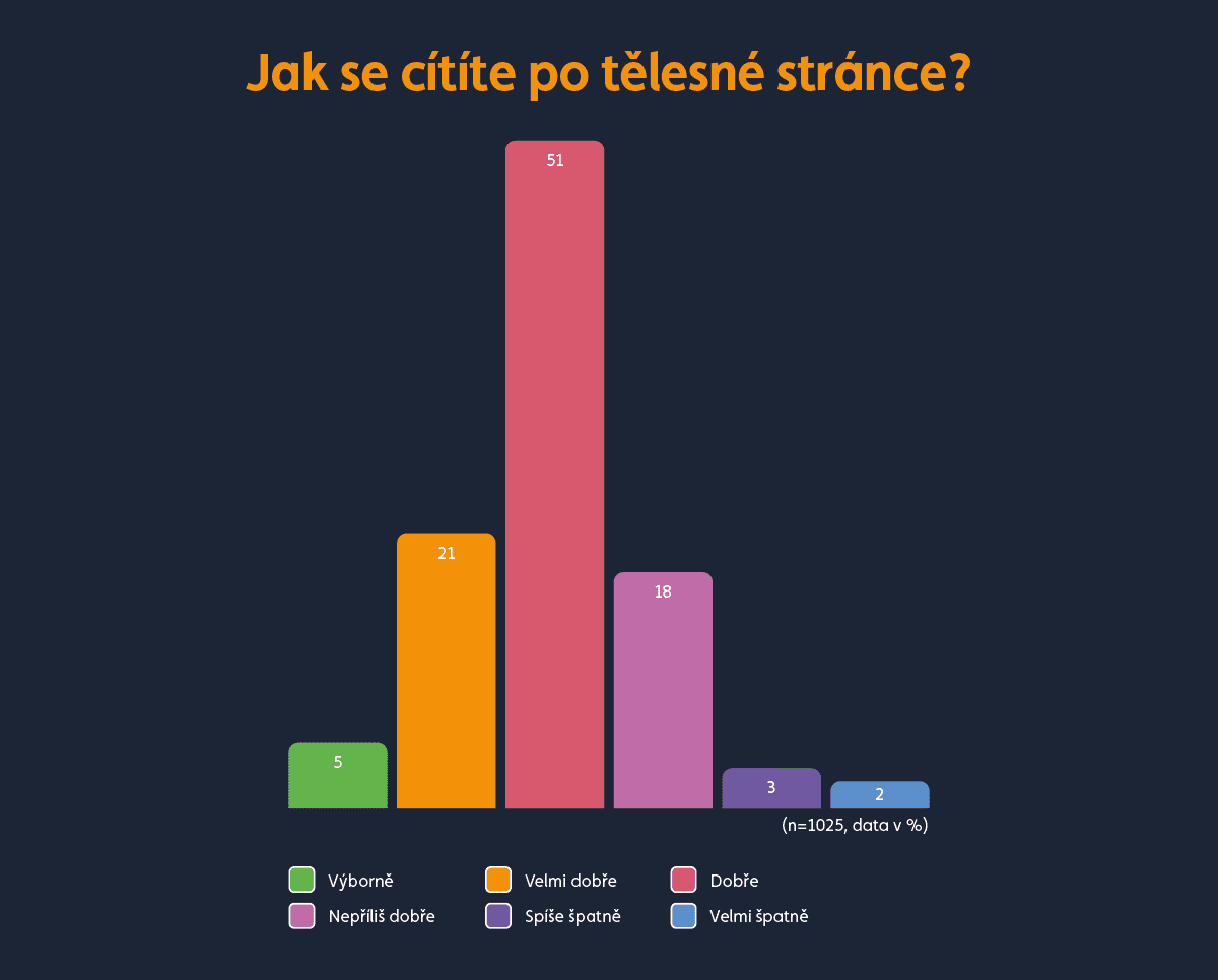 Graf fyzické zdraví zaměstnanců